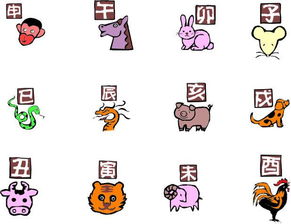 十二生肖屬金的數是哪幾個,十二生肖什麼肖屬金