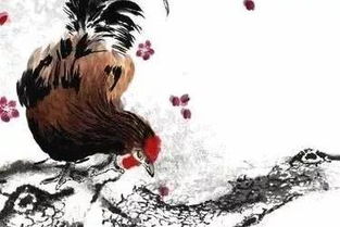 屬雞石榴木屬鼠海中金,石榴木命和海中金命婚姻?