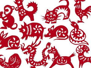 2023屬馬的男寶缺金,男寶缺金和水屬馬的,取鈞航名字好嗎