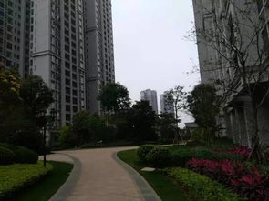 屬火宜居住蟠龍區南寧,12生肖住幾樓最旺?