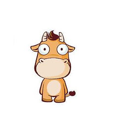 屬牛火命怎麼起名字,屬牛的起名