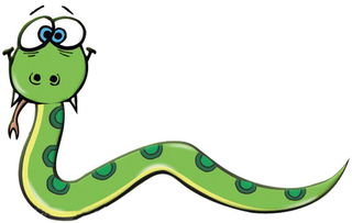 屬蛇五行金旺缺木怎麼補,幫我看看我五行屬性屬什麼,本命缺什麼應該補什麼!我是1989年農?