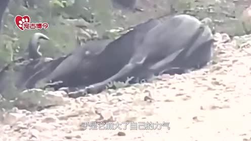 張嫚恩名字屬水土還是火,你好~~我想大師幫下忙~我兒子是2012年7月29日4點59分生