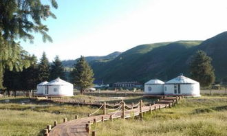 屬金的人買房子好嗎,屬相與樓層風水