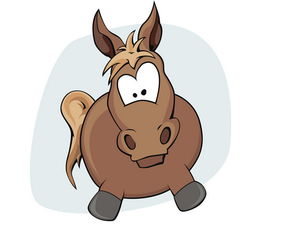 屬馬的金命屬什麼,屬馬1954年農歷4月20日出生的是什麼命