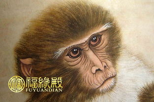 1992屬猴是水命還是金,1992年屬猴的是什麼命?五月17晚上愛問知