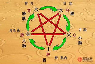 辛丑五行屬金還是屬木,晨這個字五行到底屬什麼?有說屬金,也有說五行屬火這個問題請真正