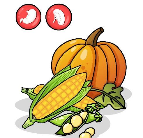 五行屬火的人適合吃什麼蔬菜,去火的蔬菜有哪些