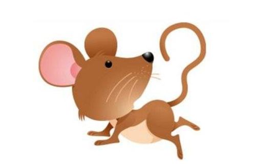 屬鼠屬金的寶寶可以帶銀嗎,我屬鼠,孩子屬蛇好嗎?