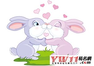 99屬兔的是水命嗎,一九九年屬兔是什麼命人