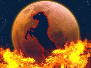 屬金屬火八命是那幾,「爐中火大海水山下火」等等的命,各是哪一年生的.請復制一?愛問