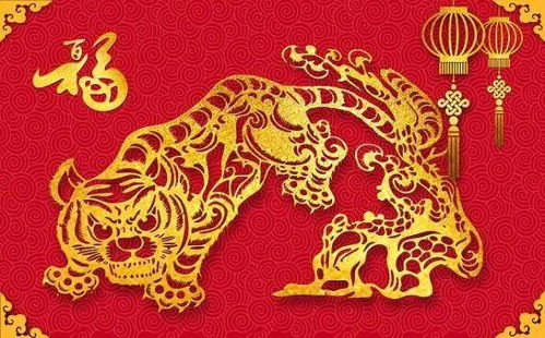 壬寅屬水木相生嗎,農歷一九六二年八月十三生人的八字是