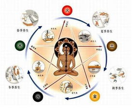 心屬火的生理功能,心 肝 脾 肺 腎