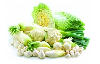 什麼是屬金的食物,屬金的食物有哪裡呀?