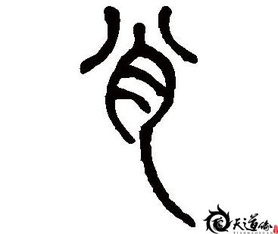 肖姓取屬火木名字,麻煩大仙看看我孩子五行缺什麼,幫孩子取名字,謝謝肖姓,女孩,出