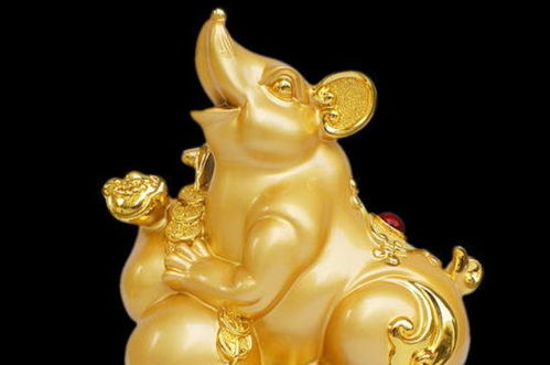 屬鼠戴金還是玉好,屬鼠的應戴什麼玉器