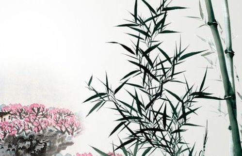 五行屬金的中草葯名字,金字開頭的中藥有哪些