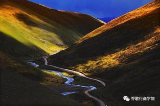後天八卦為什麼說西方屬金,為什麼東方五行屬木,北方五行屬水,
