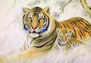 屬虎火命之人養魚幾條最好,我養金魚幾條適合我屬虎的