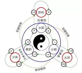 經絡系統中五行屬火的有哪些,五行中屬火的東西是什麼?