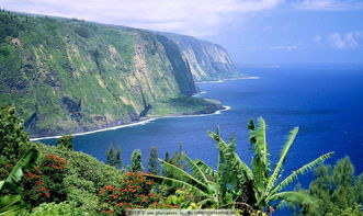 82屬大海水85海中金,"海中金"的含義?