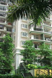 屬火的樓層是什麼,怎樣根據生肖選擇最佳樓層