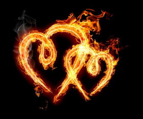 木命選擇屬火的行業有哪些,五行屬木或火行業是什麼職業