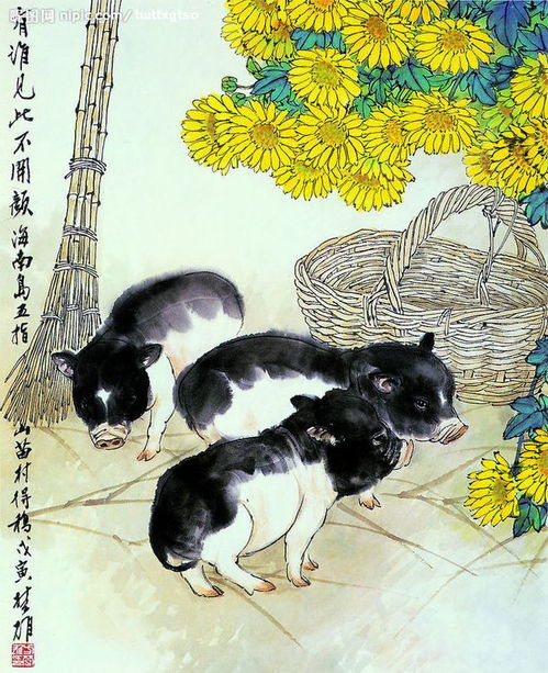 五行屬金可以養貓,我們的生辰八字與五行跟家居風水有什麼關係?