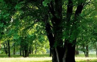 7樓屬火木命人住好嗎,7樓適合哪個屬相人住