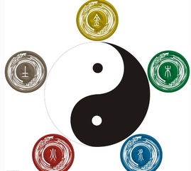 下元九運中五行屬木的行業會怎樣,九運做什麼行業好呀