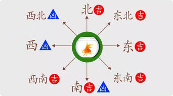 五行屬水最忌哪個方向,五行水命去哪個方向上學
