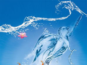 金命干屬水的行業,五行與水有關的事業或職業