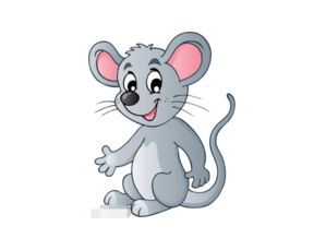 2022屬鼠的人是火命嗎,2022年是什麼生肖