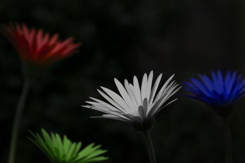 五行屬土和五行屬金配好嗎,我想知道我五行的含義,而且我還缺金和土,這又有什麼不好嗎?如不