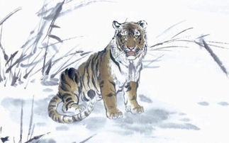 1962水虎五行缺什麼,1962年10月初十屬虎的是什麼命