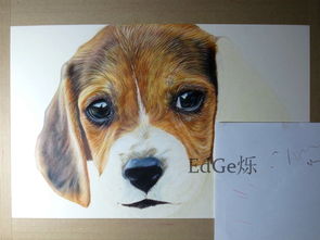 狗寶寶屬金起名易用字,哪些字屬金,適合起小名