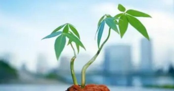 屬火喜水的適宜去哪裡發展,五行屬火的人,哪個方位最為適宜?