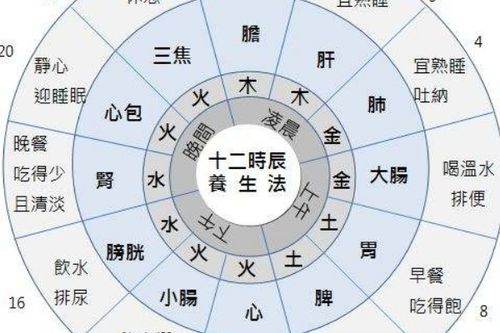 筆畫十五畫五行屬金,筆畫15畫五行屬金的字