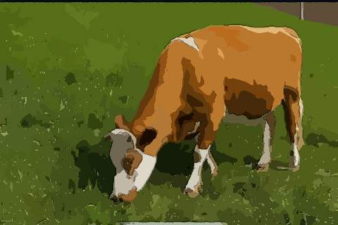 73的屬牛人屬什麼火命,屬牛1973年出生是什麼命