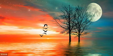 屬水的人能從事火的行業么,五行中屬水缺火做什麼行業