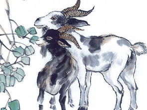 1979屬羊的人適合戴金嗎,屬羊人可以戴黃金手鐲嗎?