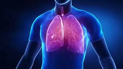 庚金是屬大腸還是肺,求算命高手給算個命,女,1978年正月二十八,早上4點.