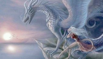 金鴻釣屬什麼生肖,馬 羊和猴這幾個屬相哪個好一點?