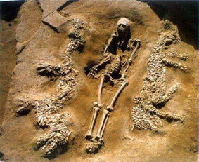 水屬長養衰火歸墓病胎,我是1984年1月6日早5點出生的,想知道命理,屬於什麼命?有勞!