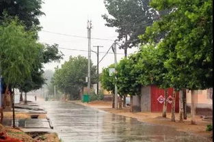 沙縣金凌口屬哪個村,沙縣下轄四個鄉的名稱是什麼