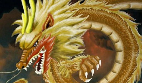 1980屬火木組合的名字,木火組合的好名字女孩