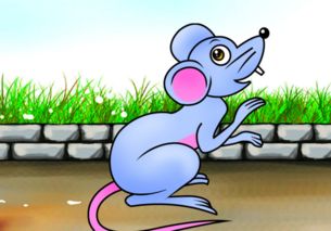 屬鼠海中金命適合住二樓嗎,屬鼠應該買幾樓的房子好?