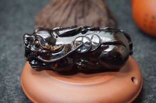 黑珊瑚屬火還是水,珊瑚屬什麼植物