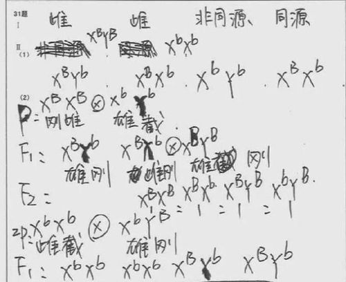 筆畫12畫五行屬金的字,五行屬「金」12畫的漢字有哪些?