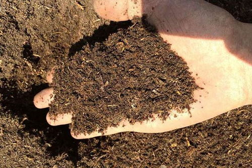 屬金的能不能做屬土的行業,五行屬金和屬土的有哪幾種行業?